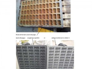 moule-alimentaire-nettoyage-cryogénique